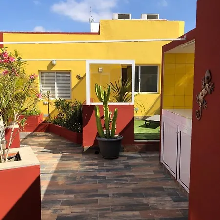 Casa Lagarto